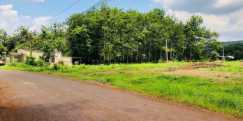 CẦN TIỀN ĐÁO HẠN NGÂN HÀNG BÁN 1001M2 ĐẤT SHR NGAY KCN ĐANG HOẠT ĐỘNG. GIÁ 180TR