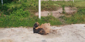 Chính chủ cần bán lô đất đã có sổ đỏ dt : 522 mét ( 400 m đất ở) 122 m đất vườn.