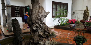 Bán193m2 đất làm nhà vườn, căn hộ dịch vụ đường Kim Ngưu, Hai Bà Trưng