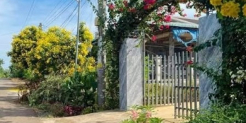 Vườn trái cây Long Khánh giá rẻ chỉ với 890tr/sào, cây ăn trái, giếng nước