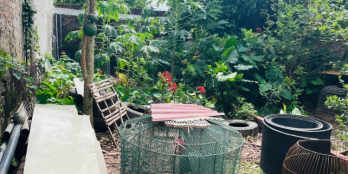 Chính chủ bán mảnh đất 41m2 thôn Bình Trù, Gia Lâm đã có sổ