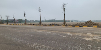 Chuyển nhượng 20.000m2 khu công nghiệp Cẩm Giàng – Hải Dương