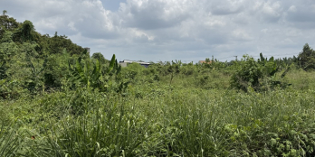 SỞ HỮU NGAY MẢNH VƯỜN MƠ ƯỚC TẠI ĐỊNH QUÁN – GIÁ CHỈ 375 TRIỆU