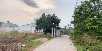 ĐẤT SẠCH ĐẸP ĐƯỜNG XE TẢI Bình Chuẩn 07 Thuận An, 341m2, ngang 7.3m, chỉ 4 tỷ 99