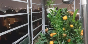 Bán chung cư mini 42m2, 1.65tỷ (gần Khu đô thị Trung Văn-Vinaconex 3)