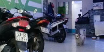 [TÂN BÌNH] BÁN NHÀ MẶT TIỀN HẺM RỘNG NGUYỄN SỸ SÁCH – GIÁ CHỈ 13.2 TỶ