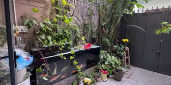 Cần Bán nhà tại phường 14, Gò Vấp