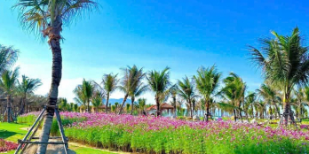 Biệt Thự Golf KN Paradise: 384m² Chỉ 26 Tỷ - Tặng Thêm 133 m² Đất Vườn