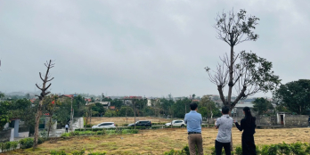 Hot Hot! Đất nền sinh lời cao cực hiếm tại Đông Triều chỉ từ 6xxtr