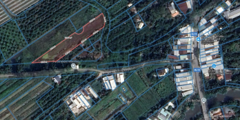 Bán đất đang trồng dừa giáp đường hương lộ 15 Phường Tân Ngãi, Vĩnh Long