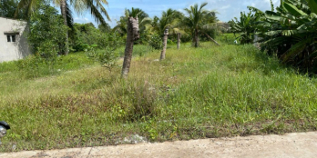 2100m2 đất thị trấn , có sẵn 200m2 thổ đường bê tông 6m