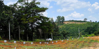 Bán 8 sào đất đường liên xã Đan Phượng Tân Thành gần ngã ba 725B