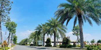 Đất thị trấn Bến Lức-2 mặt tiền-4.5x20-1tỷ9 - Sổ hồng sang tên ngay