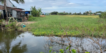 Bán nhanh 4,2 công đất vườn giá 1,1 tỷ, gần nhựa HL07 Tân Thành,Gò Công Đông, TG