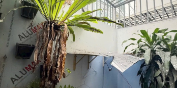 Bán Toà CHDV 5 Tầng Thu 70tr Mỗi Tháng Đường Vạn Kiếp Ngay Khu Phan Xích Long