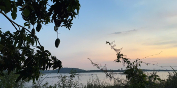 ĐẦU TƯ SINH LỜI NGAY SỞ HỮU VƯỜN CÂY TRÁI NGHỈ DƯỠNG GẦN TP.HCM GIÁ CHỈ 900tr