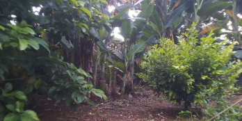 Bán chịu lổ lô đất gần 400m² gần biển và các resort và gần kcn đất đỏ giá rẻ