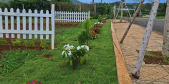 Bán đất SHR 168m2 (75m2 TC) QL 20, Di Linh, Lâm Đồng, giá 836tr TL