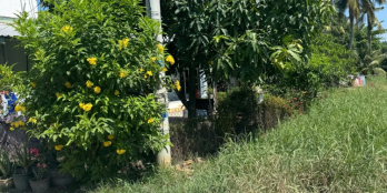 Bán đất mặt tiền đường Bùi Thị Lùng – Thị trấn Hóc Môn