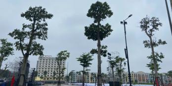 SỞ HỮU NGAY CĂN HỘ VIEW BIỂN SUN PATHWAY SẦM SƠN CHỈ VỚI HƠN 2 TỶ