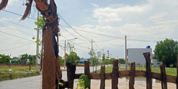 BÁN LÔ ĐẤT ĐẸP NHƯ HOA HẬU - GIÁ MỀM NHƯ BÚN - VỊ TRÍ ĐẮC ĐỊA TTHC TT CẦN ĐƯỚC