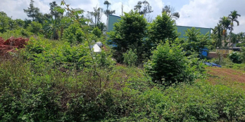 Cần bán lô đất thổ cư mặt tiền đường nhựa xã Hòa Thắng, TP. Buôn Ma Thuột