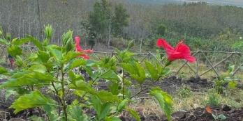 Sở hữu ngay view hồ Trị An "đỉnh nóc kịch trần" tại Định Quán, giá rẻ