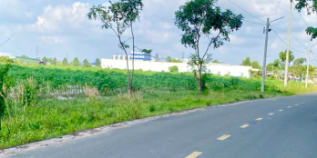 BÁN ĐẤT MT ĐƯỜNG NHỰA 1125M2 SHR NGAY KHU CÔNG NGHIỆP ĐÔNG CÔNG NHÂN. GIÁ 890TR