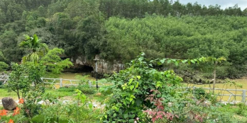 Chính chủ cần bán mảnh đất hơn 5000m2 view sông cho các bác muốn gần thiên nhiên