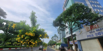  CHÍNH CHỦ BÁN ĐẤT MẶT TIỀN 1.400M² – ĐƯỜNG 3/2, P.8, VŨNG TÀU –GIÁ 85 TỶ 