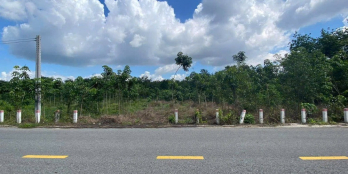 BÁN GẤP 1.250M2 SÁT BÊN CHỢ, TRƯỜNG HỌC ĐƯỜNG THÔNG VÀO KCN ĐÔNG DÂN. GIÁ 190TR