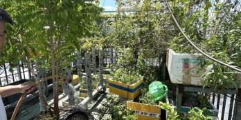 Bình Tân Tỉnh lộ 10- Giáp khu Tên Lửa 4 tầng ô tô vào nhà chỉ 7T....