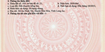 BÁN ĐẤT CHÍNH CHỦ KHÔNG QUA MÔI GIỚI, CẦN RA GẤP GIÁ TỐT