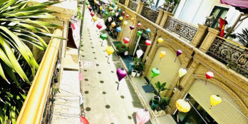 Bán nhà biệt thự tân cổ điển Bình Tân - Nhìn là mê - Đang có hợp đồng thuê 17tr