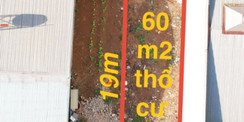 Bán gấp lô đất mặt tiền Mạc Đăng Dung, p. Hội Phú, Tp Pleiku, Tỉnh Gia Lai