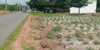 Em có nguồn đất nền giá rẻ từ 600tr tại Đất đỏ - TPHCM (BRVT cũ)