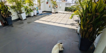 Quận 11, HXH Âu Cơ phường 14, 52m2, 4 tầng, hơn 9 tỷ