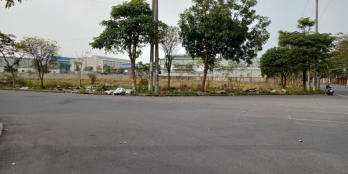 Chuyển nhượng 2.000m2 Cụm công nghiệp Ninh Hiệp, vị trí đắc địa