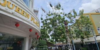 TT Quận 5- gần MT- 50m2 -sổ vuông đang cho thuê 10tr/TH.