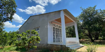 Chính chủ bán gấp cho con đi học đại học - Lai Uyên, Bàu Bàng