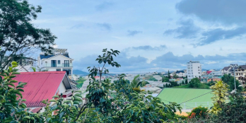 Bán Nhà Phố SHR - HXH - Sân Đậu Xe 7 Chổ