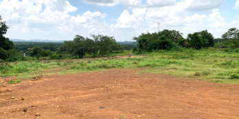 BÁN 3 SỔ 210m2 (630M2) ĐẤT THỔ CƯ NGAY CHỢ THANH LƯƠNG CHỈ 290TR