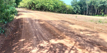 Chính Chủ Bán 3,7 Sào (3.740m2) Đất Có Sẵn 200m² Thổ Cư –Ngay Chợ Tân Hưng 235TR