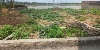 Siêu phẩm 2 mặt tiền- Giá chỉ 950tr- giá rẻ như cho-tại Phù Lãng,Quế Võ,Bắc Ninh