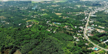 Vườn Thơ Mộng View Sông La Ngà, Hướng Hồ Trị An, Lưng Tựa Đồi