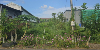 Lô đất thổ xây trọ 340m2 Sổ riêng (ODT) ngay KCN Trảng Bàng, 650 triệu