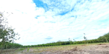 BÁN ĐẤT ĐẸP 5.603M² GIÁ RẺ – NHA BÍCH, CHƠN THÀNH – CHỈ 150 TRIỆU