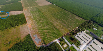 ĐẤT GIÁ RẺ – 5.600m² Ngay ĐT 756B – NHA BÍCH – CHƠN THÀNH CHỈ 150 TRIỆU!