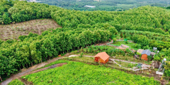 ĐẦU TƯ ĐẤT VƯỜN NGHỈ DƯỠNG GẦN HỒ TRỊ AN & VIEW THUNG LŨNG XOÀI SIÊU CHILL