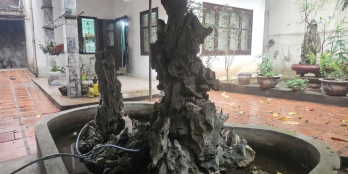 Đất nền 200m2 tại Thanh Nhàn, giá siêu hời chỉ với 24 tỷ